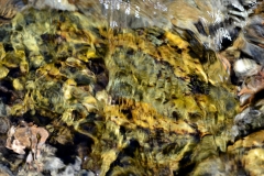 Rocks Underwater 8