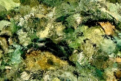 squam-creative-teele-rocks-underwater-arrowtown-2