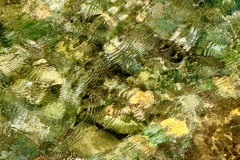 squam-creative-teele-rocks-underwater-arrowtown-7