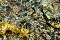 Rocks Underwater 37