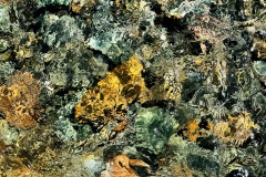 Rocks Underwater 29