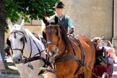 Horse-Drawn Carriage