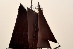 Roseway