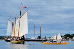 Parade of Sail 1