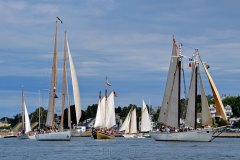 Parade of Sail 2