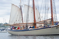 American Eagle Raising Sail