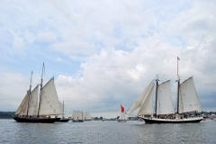 Parade of Sail 3