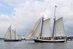 Parade of Sail 2