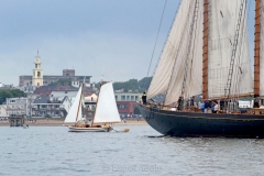 Virginia & Greasy Pole