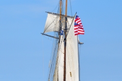 Lynx Stern