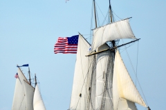 American Eagle & Lynx