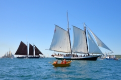 Roseway & Liberty Clipper