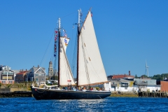 Adventure Setting Sail