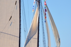 Adventure Close-Up