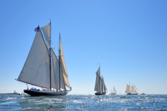 Columbia & Thomas E. Lannon