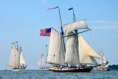 American Eagle, Liberty Clipper, Lynx & Tree of Life
