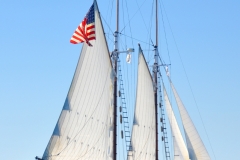 Thomas E. Lannon