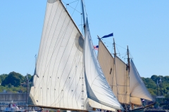 Sloop