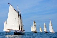 Adventure in the Schooner Race