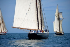 Columbia, Adventure, Tree of Life & Lynx