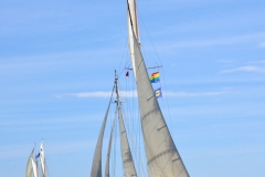 Tree of Life & Hindu