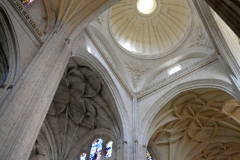 Catedral de Segovia Ceiling