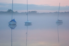 Catboats in the Fog
