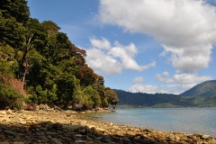 squam-creative-teele-queen-charlotte-track-shoreline