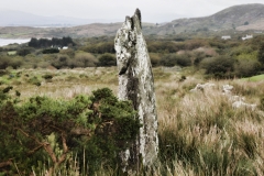 Ardgroom Stone Circle 2