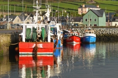 Dingle Harbor 1