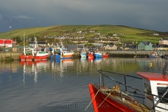 Dingle Harbor 2