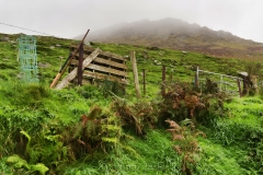 Healy Pass