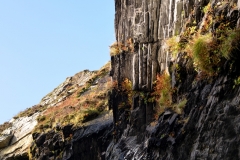 Slate Quarry