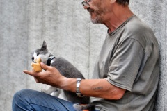 squam-creative-teele-man-cat