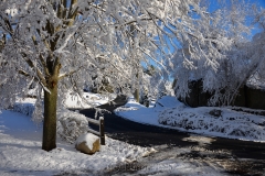 Adams Hill in February Snows