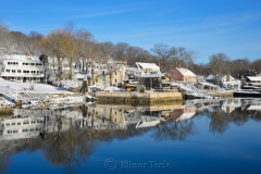 Cove in February Snows