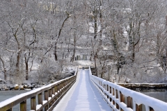 Footbridge in February