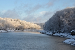 Head of the Cove in March Snows