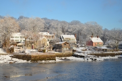 Coveside in March Snows