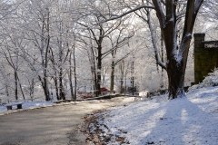 December Frosting 2