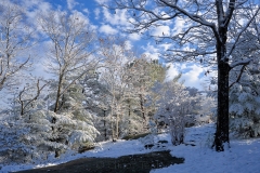 December Frosting 3