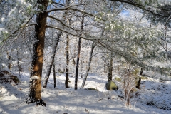 December Frosting 4