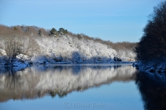 Head of the Cove in February Snows