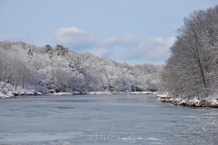 Cove in February
