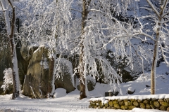 Pasture in February Snows 3