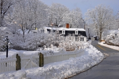 Walnut Street in February