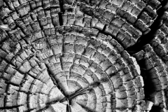 Wood Patterns 3