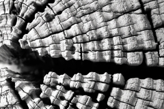 Wood Patterns 6