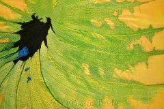 Hosta by Deborah Gonet