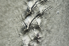 Sandscapes 1